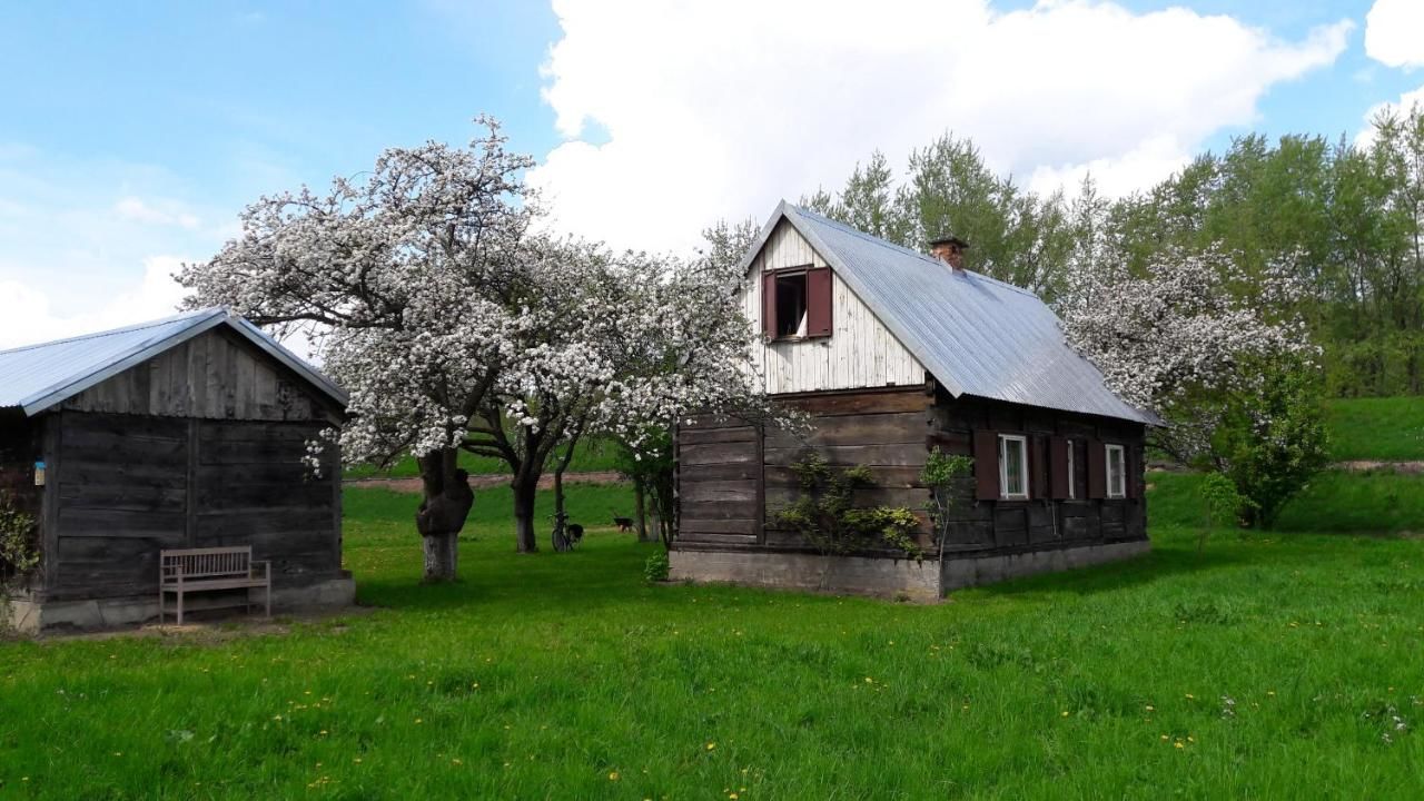 Дома для отпуска Dom między Wisłą a Kampinosem Leoncin
