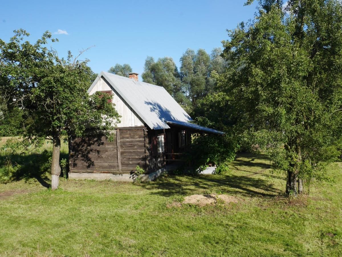 Дома для отпуска Dom między Wisłą a Kampinosem Leoncin-29