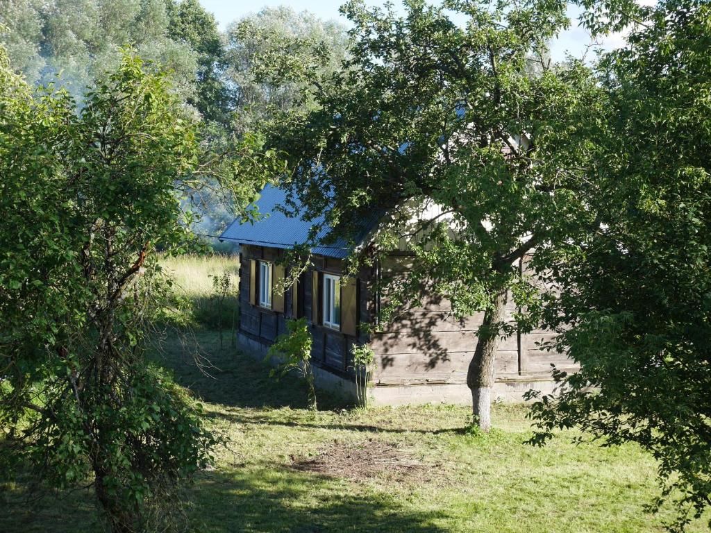 Дома для отпуска Dom między Wisłą a Kampinosem Leoncin-47