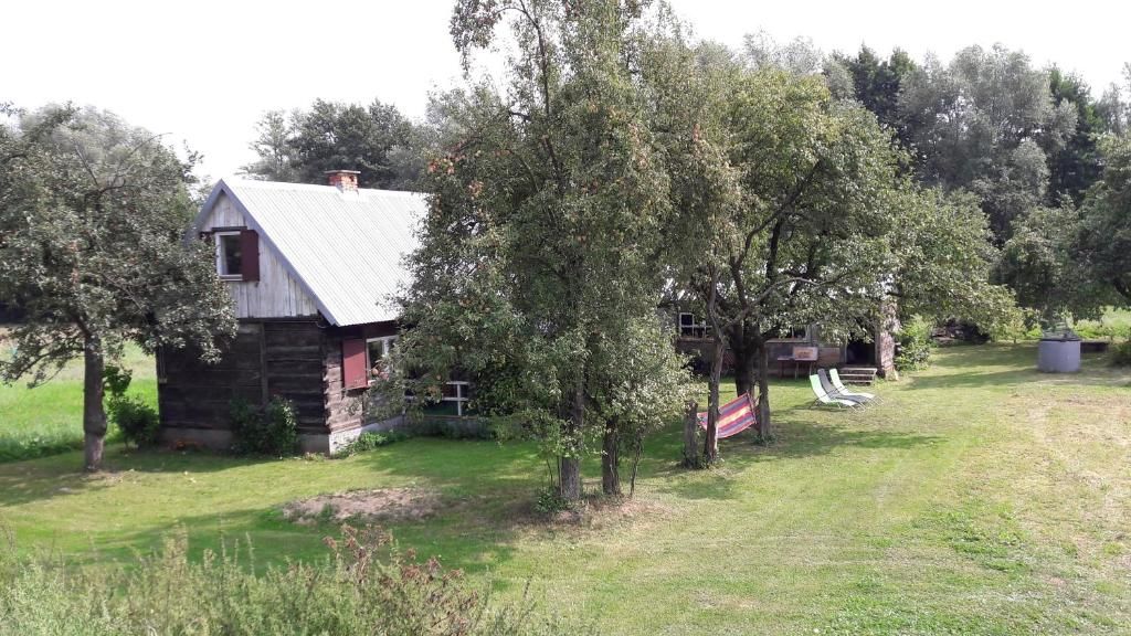 Дома для отпуска Dom między Wisłą a Kampinosem Leoncin-59